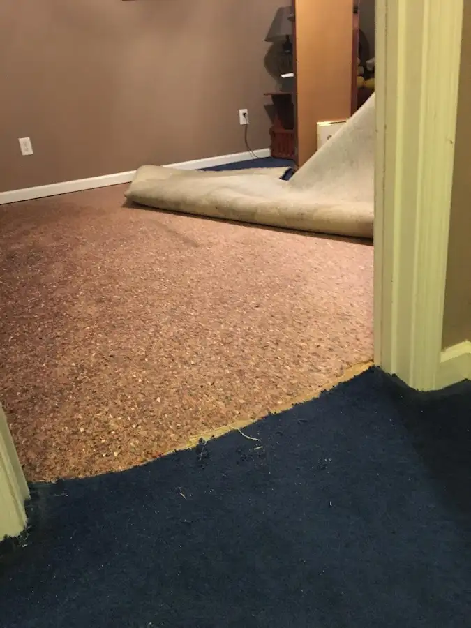 Carpet pad removal revealing water damage during Drying & Dehumidification in Wethersfield